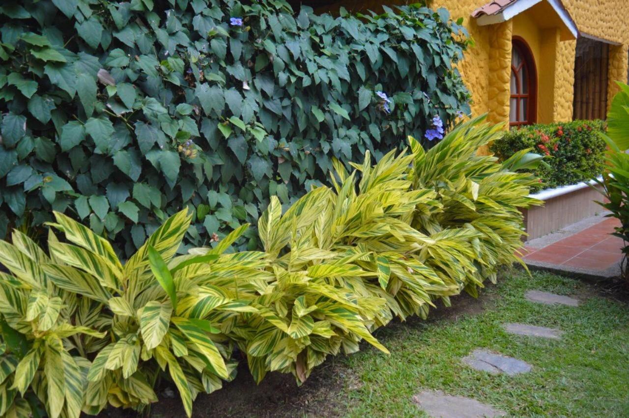 Eco Hostal Kuima Zaino Exterior foto